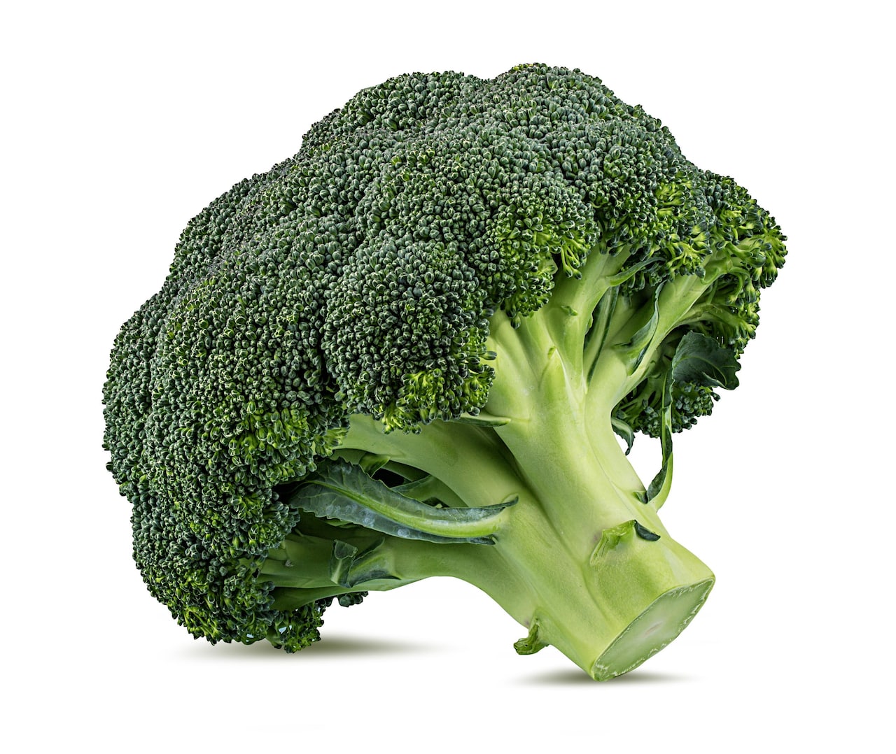 Broccoli (1 piece)- 300g-350g