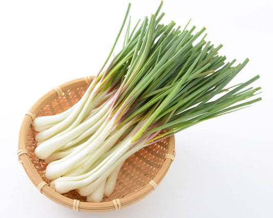 Spring onion - 1 bunch