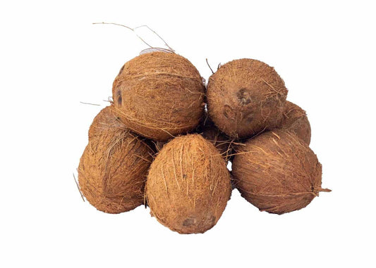 Coconut (1 piece)