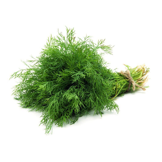 Dill leaves - 1 Bunch