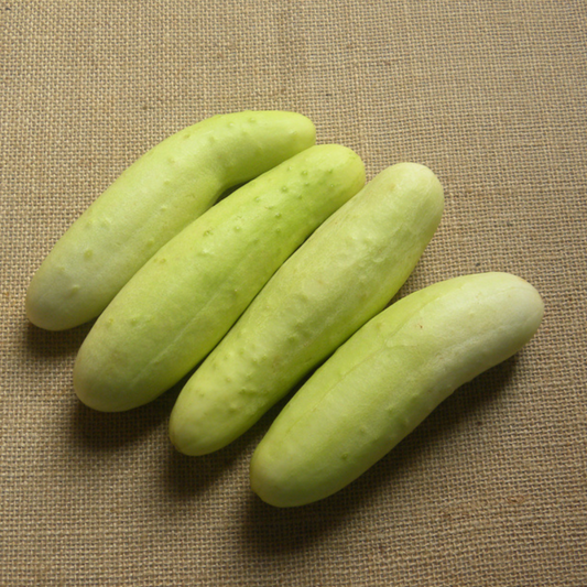 White cucumber - 500g