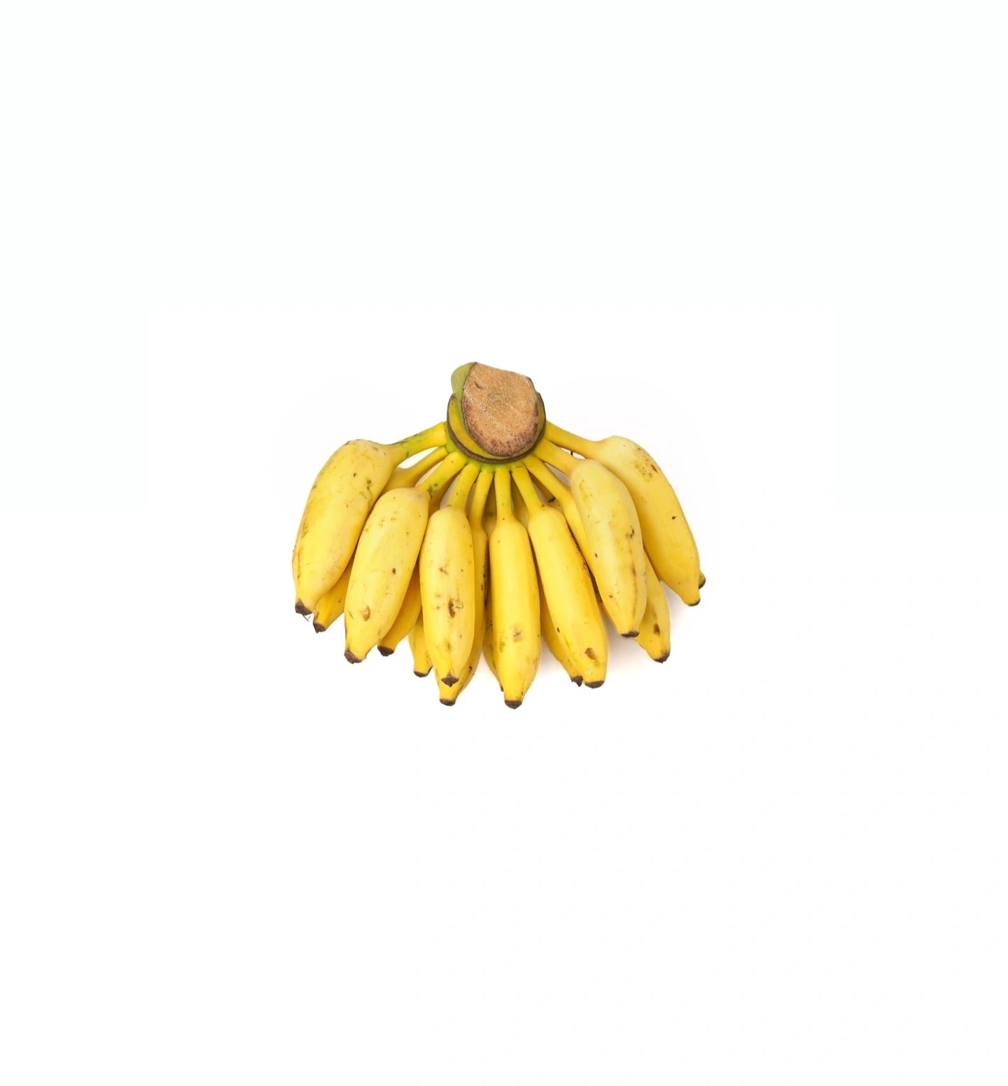 Velchi banana - 1 dozen