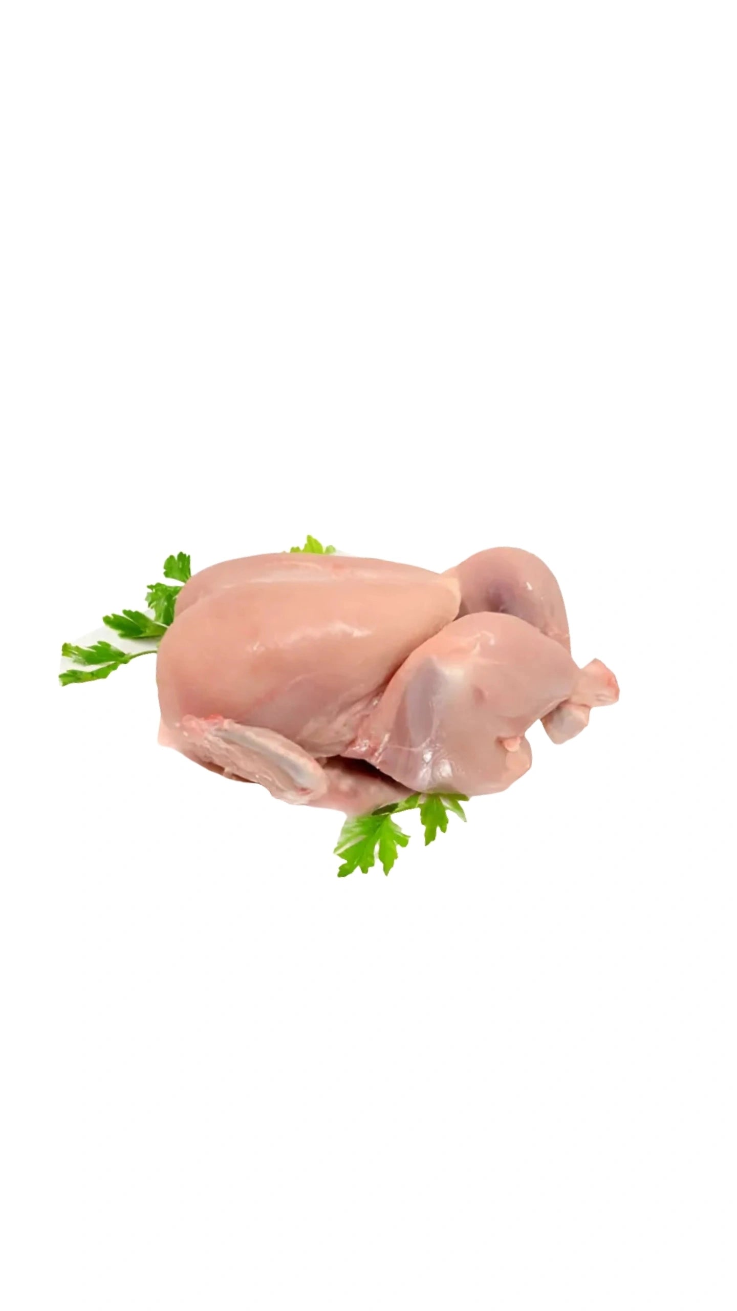 Fresh chicken meat
