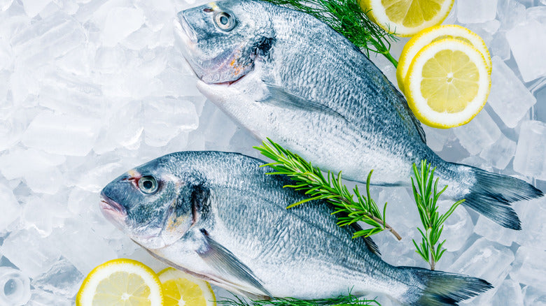 Fresh Seafood