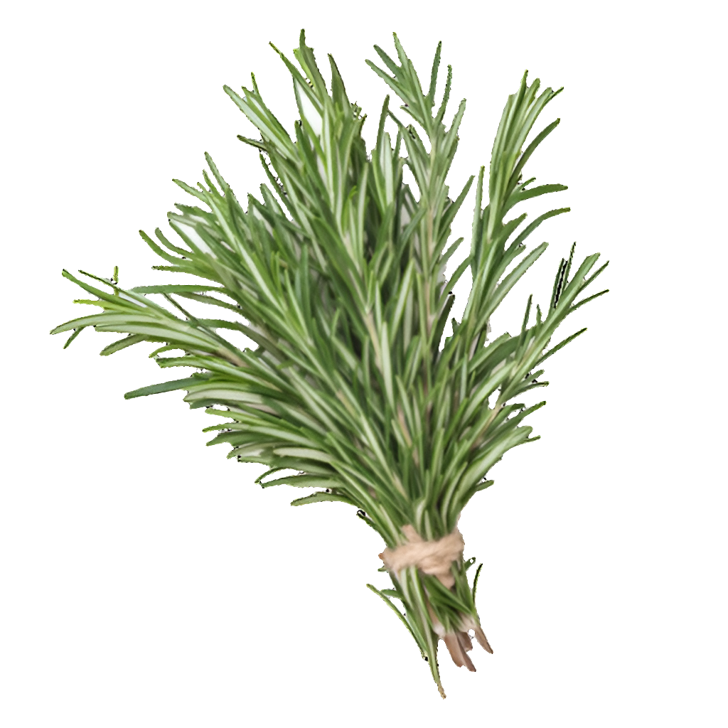 Rosemary - 100g