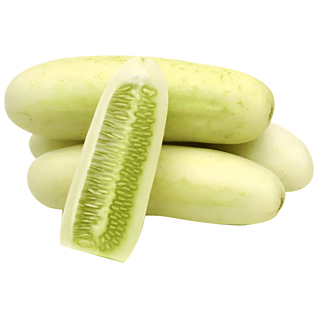 White Cucumber - 1kg