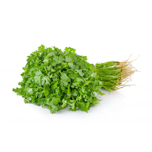 Coriander - 1 bunch
