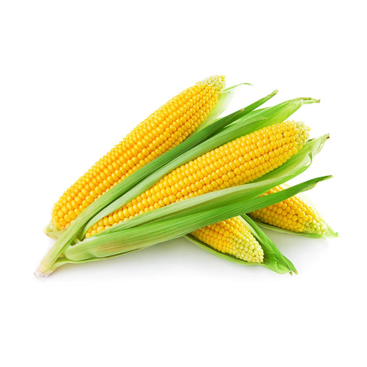 Sweet Corn - 1 piece