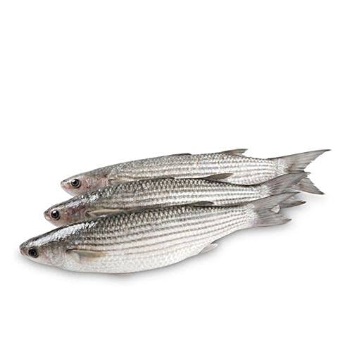 Shevto / mullet fish (500g-550g)