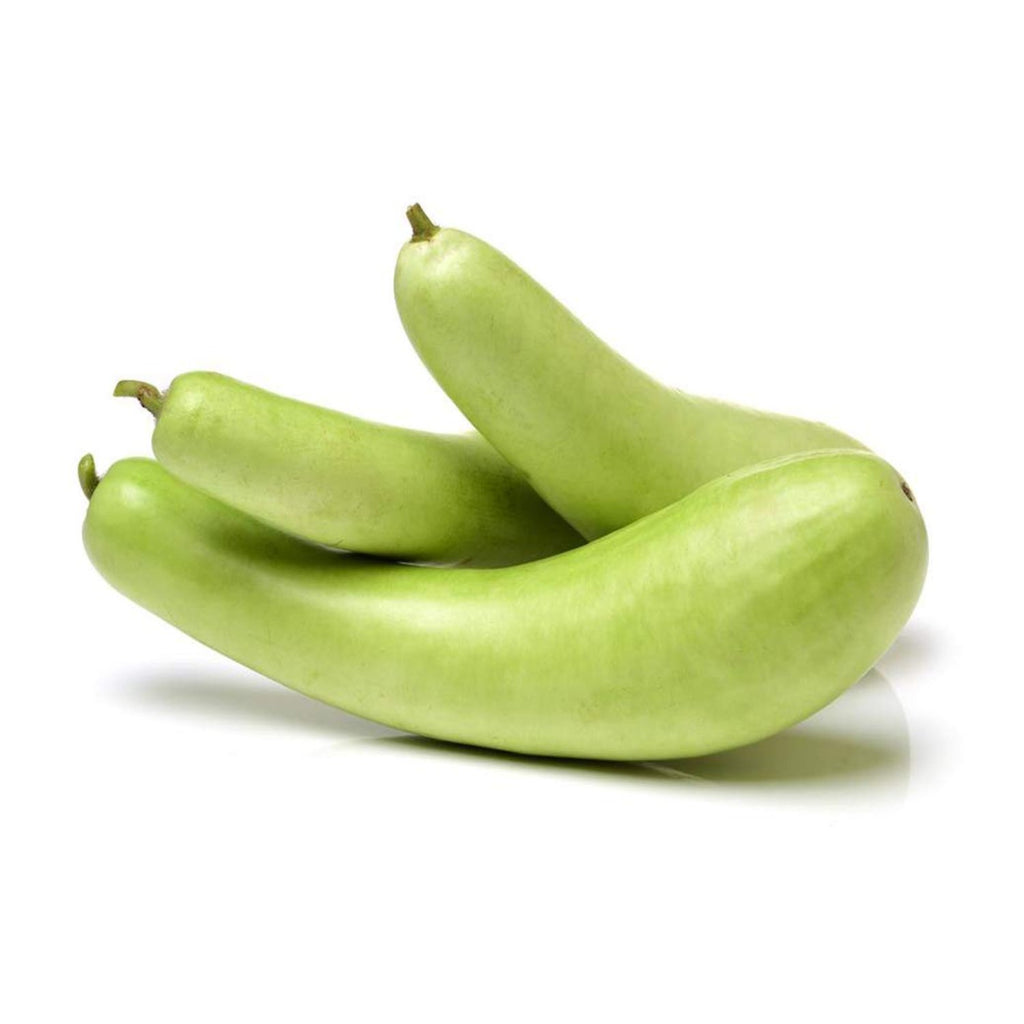 Bottle Gourd- Kokan Dudi (1 piece)