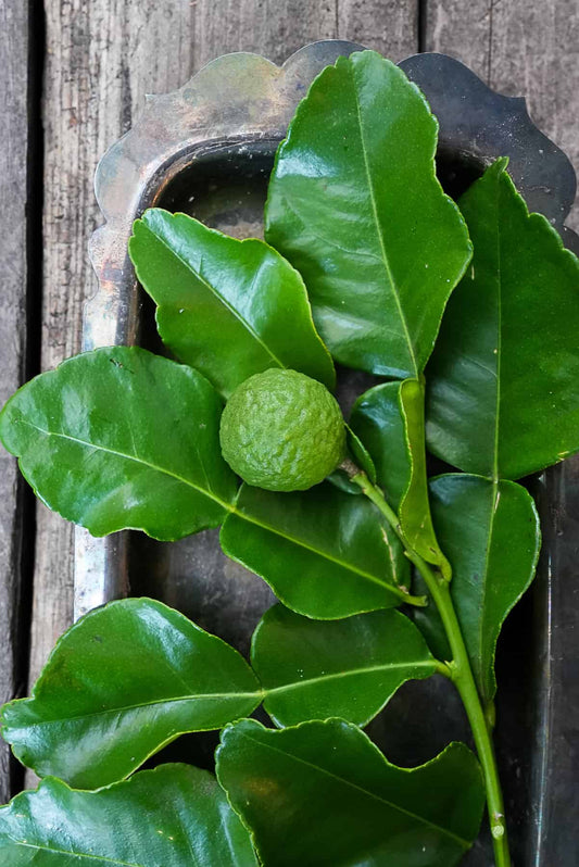 Lime leaves - 100g