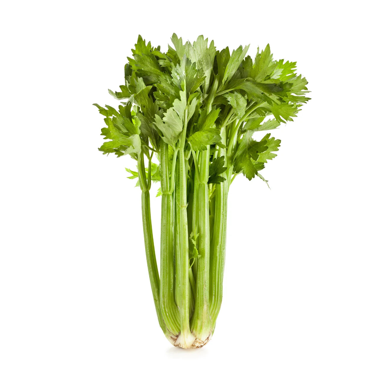 Celery - 250g