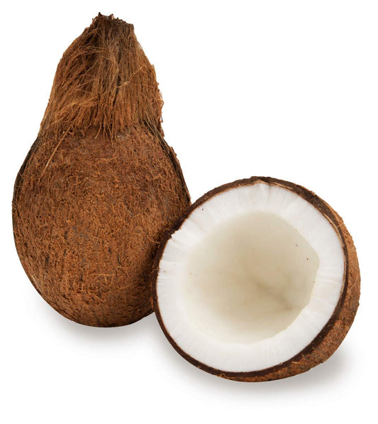 Coconut (1 piece)