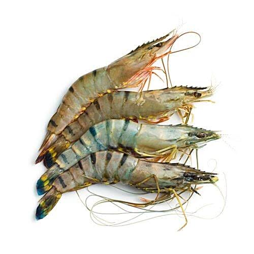 Tiger prawns fish (500g-600g)
