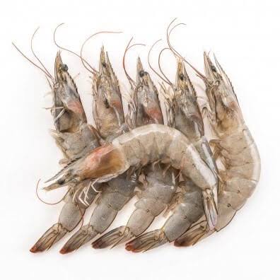 King prawns fish (500g)