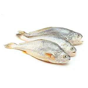 Dodiar / silver croaker fish (500g)
