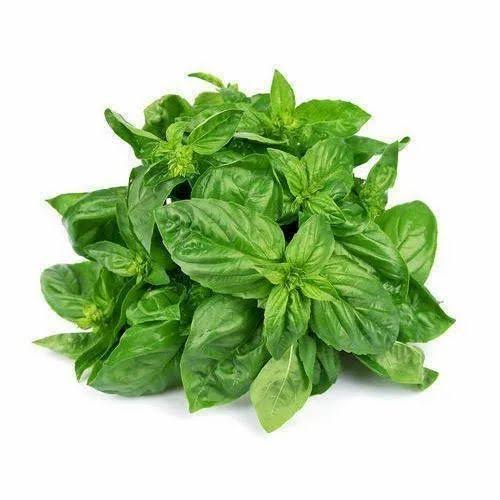 Basil - 100g