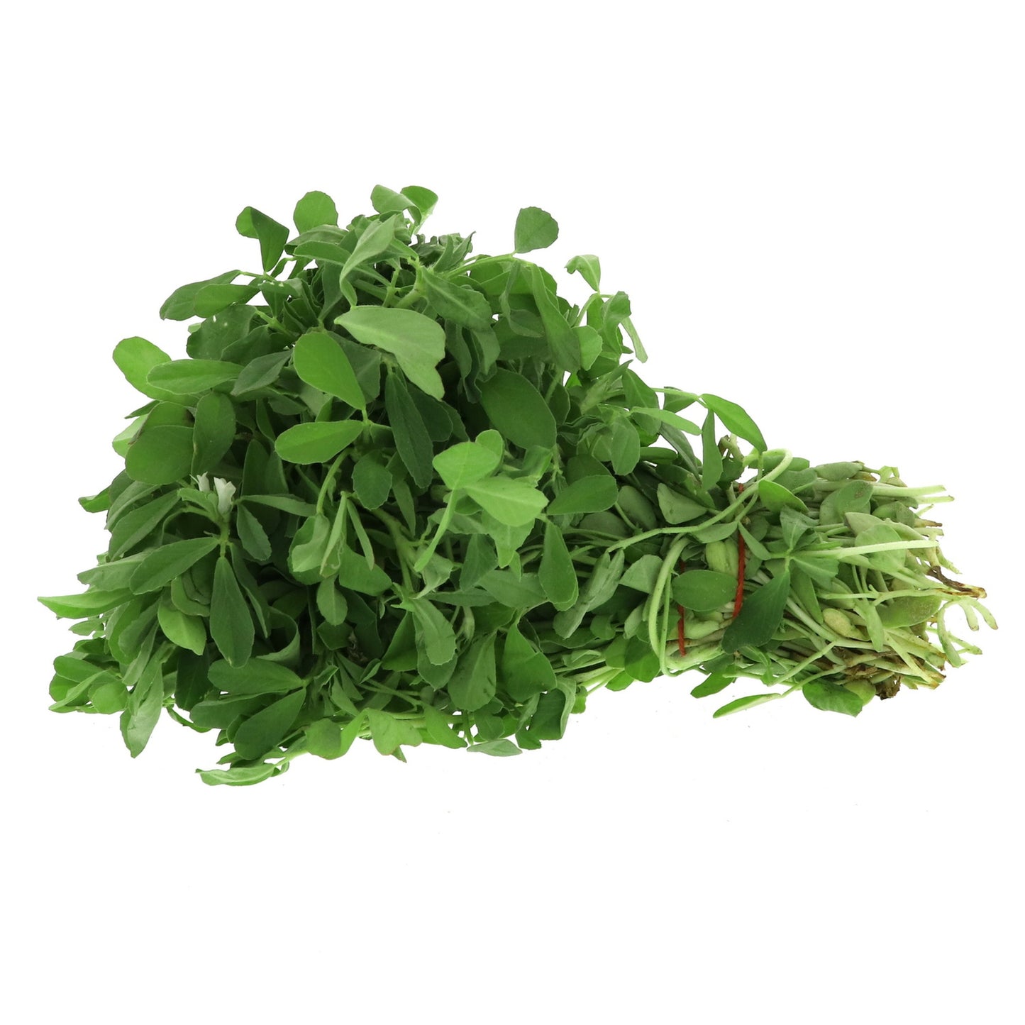 Methi / Fenugreek - 1 bunch