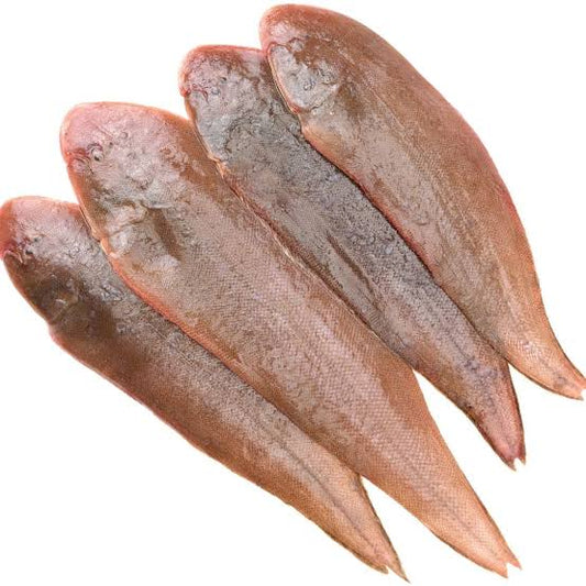 Lepo / sole fish (500g)