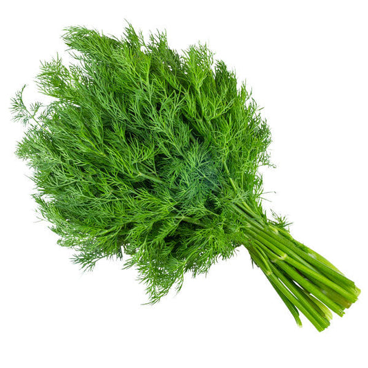 Dill leaves - 1 Bunch