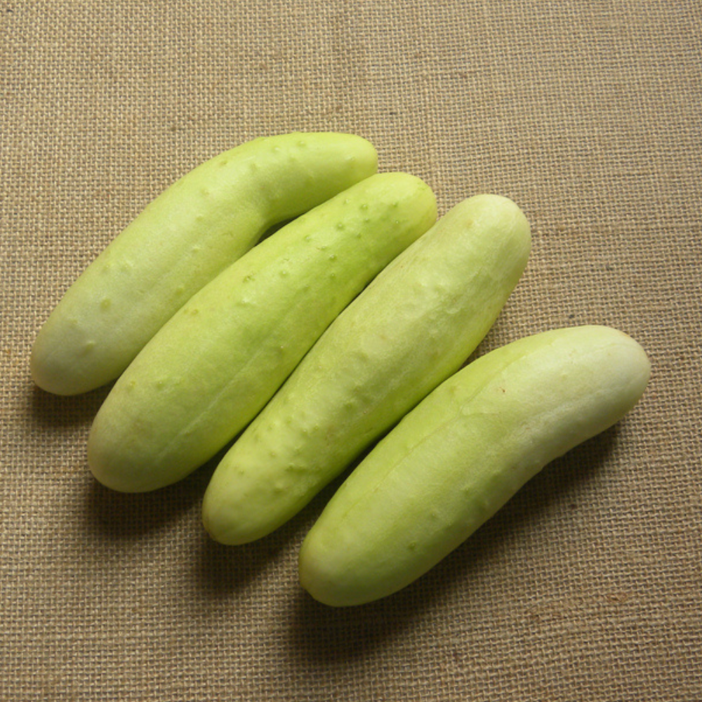 White cucumber - 500g