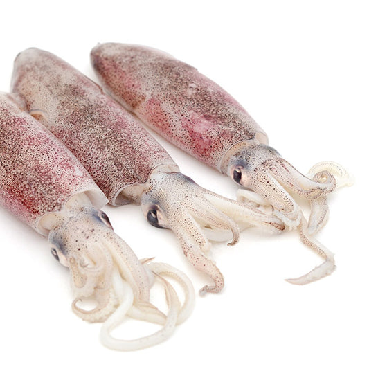 Squids / calamari fish (500g)