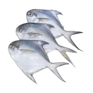 White Pomfret fish (1kg)