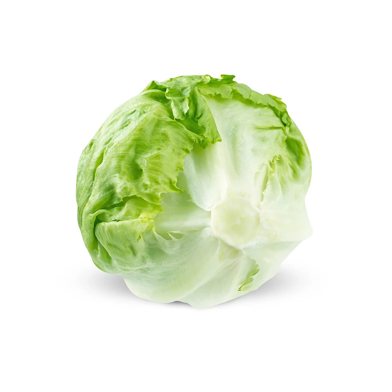 Iceberg Lettuce - (250g-300g)
